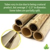 image:imageJoshs Frogs Bamboo Tube 2 ft