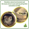 image:imageJoshs Frogs Bamboo Tube 2 ft
