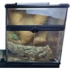 image:imageJoshs Frogs Coco Planter Mats for Live Plant Terrarium Background 8x1212x12