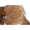 image:imageJoshs Frogs Coco Planter Mats for Live Plant Terrarium Background 8x1220x20