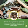 image:imageJoshs Frogs EcoScape Assorted Dcor Pack Small