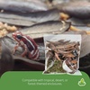 image:imageJoshs Frogs EcoScape Assorted Dcor Pack Small
