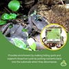 image:imageJoshs Frogs EcoScape Assorted Dcor Pack Small
