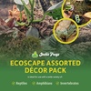 image:imageJoshs Frogs EcoScape Assorted Dcor Pack Small