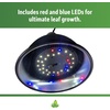 image:imageJoshs Frogs Green GRO Plant LED Bulb 12 Watt20 Watts