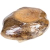 image:imageJoshs Frogs Natural Coco Bowl