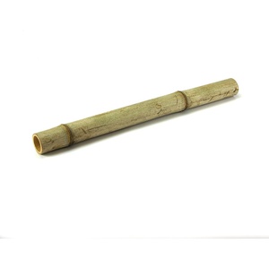 image:imageJoshs Frogs Bamboo Tube 2 ft