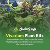 image:imageJoshs Frogs 10 Gallon Tropical Vivarium Plant Kit10 Gallon