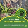 image:imageJoshs Frogs 10 Gallon Tropical Vivarium Plant Kit29 Gallon