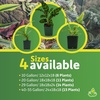 image:imageJoshs Frogs 10 Gallon Tropical Vivarium Plant Kit40 Gallon