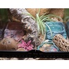 image:imageJoshs Frogs 18x18x18 20 Gallon Hermit Crab Vivarium Bioactive Plant Kit