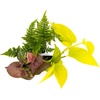 image:imageJoshs Frogs 36x18x18 40 Breeder Ball Python Terrarium Plant Kit24x18x18 20 Gallon Long