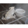image:imageJoshs Frogs Acrylic Feeding Ledge Holds 22 oz CupsFor 1oz Cups