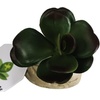 image:imageJoshs Frogs Arid Artificial Plants for Reptiles EuphorbiaJade Succulent