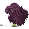 image:imageJoshs Frogs Arid Artificial Plants for Reptiles EuphorbiaRed Clover