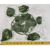 image:imageJoshs Frogs Artificial Evergreen Reptile Vine