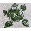 image:imageJoshs Frogs Artificial Evergreen Reptile Vine