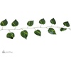 image:imageJoshs Frogs Artificial Evergreen Reptile Vine
