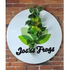 image:imageJoshs Frogs Artificial Grape Vine