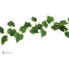 image:imageJoshs Frogs Artificial Grape Vine