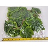 image:imageJoshs Frogs Artificial Grape Vine