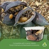 image:imageJoshs Frogs Assorted Substrate Botanicals for Orchid Frogs Reptiles and Fish