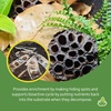 image:imageJoshs Frogs Assorted Substrate Botanicals for Orchid Frogs Reptiles and Fish
