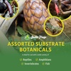 image:imageJoshs Frogs Assorted Substrate Botanicals for Orchid Frogs Reptiles and Fish
