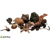 image:imageJoshs Frogs Assorted Substrate Botanicals for Orchid Frogs Reptiles and Fish