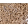 image:imageJoshs Frogs Coco Mat Substrate or Terrarium Background 20x2012x12