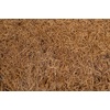 image:imageJoshs Frogs Coco Mat Substrate or Terrarium Background 20x2016x16