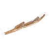 image:imageJoshs Frogs Flexible Natural Coco Tree Branches SmallLarge