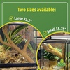 image:imageJoshs Frogs Flexible Natural Coco Tree Branches SmallSmall