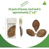 image:imageJoshs Frogs Large Jackfruit Leaf Litter 10 Count