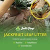 image:imageJoshs Frogs Large Jackfruit Leaf Litter 10 Count