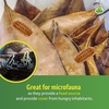 image:imageJoshs Frogs Large Jackfruit Leaf Litter 10 Count