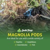image:imageJoshs Frogs Magnolia Pods Includes 5 Pods