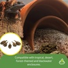 image:imageJoshs Frogs Magnolia Pods Includes 5 Pods