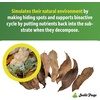 image:imageJoshs Frogs Mango Leaf Litter 10 Count
