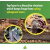 image:imageJoshs Frogs Organic Live Oak Leaf Litter 1 Gallon500 Leaves