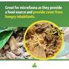 image:imageJoshs Frogs Organic Live Oak Leaf Litter 1 Gallon500 Leaves
