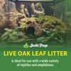 image:imageJoshs Frogs Organic Live Oak Leaf Litter 1 Gallon500 Leaves