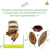 image:imageJoshs Frogs Organic Magnolia Leaf Litter 1 Gallon40 Leaves