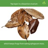 image:imageJoshs Frogs Organic Magnolia Leaf Litter 1 Gallon40 Leaves