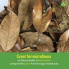 image:imageJoshs Frogs Organic Magnolia Leaf Litter 1 Gallon40 Leaves