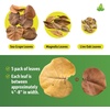 image:imageJoshs Frogs Organic Sea Grape Leaf Litter USA Collected 5 Leaves