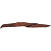 image:imageJoshs Frogs Pride of Barbados Pods Includes 5 Pods