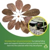 image:imageJoshs Frogs Small Cashew Leaf Litter 10 Count