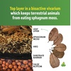 image:imageJoshs Frogs Small Cashew Leaf Litter 10 Count