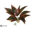 image:imageJoshs Frogs Tropical Artificial Reptile and Amphibian Plants DracaenaAglaonema Pink